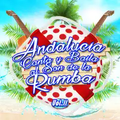 Andalucía Canta y Baila al Son de la Rumba Vol. 2 by Various Artists album reviews, ratings, credits