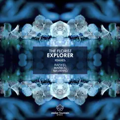 Explorer (Navarro Remix) Song Lyrics