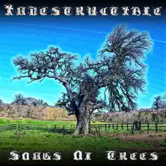 Indestructible - Single by Songs Of Trees album reviews, ratings, credits