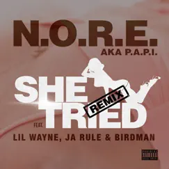 She Tried (Remix) [feat. Lil Wayne, Ja Rule & Birdman] - Single by N.O.R.E. album reviews, ratings, credits