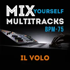 Il volo (Cassa_Multitrack) Song Lyrics