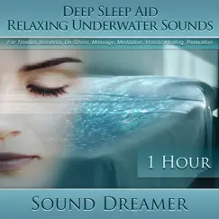 Relaxing Underwater Sounds (Deep Sleep Aid) [For Tinnitus, Insomnia, De-Stress, Massage, Meditation, Holistic Healing, Relaxation] [1 Hour] by Sound Dreamer album reviews, ratings, credits