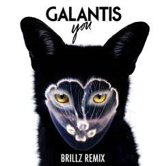 You (Brillz Remix) Song Lyrics