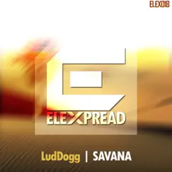 Savana - Single by LudDogg album reviews, ratings, credits