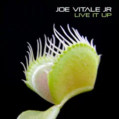 Live It Up - Single by Joe Vitale Jr album reviews, ratings, credits