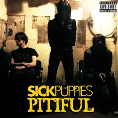 Pitiful (Radio Edit) - Single by Sick Puppies album reviews, ratings, credits