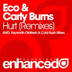 Hurt (Cold Rush Remix) Song Lyrics