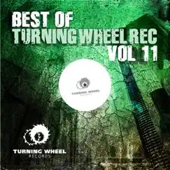 Best of Turning Wheel Rec, Vol. 11 by Various Artists album reviews, ratings, credits