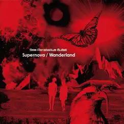 Supernova / Wanderland - Single by 9mm Parabellum Bullet album reviews, ratings, credits
