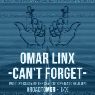Can't Forget - Single by Omar LinX album download