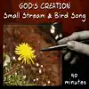 Small Stream & Bird Song (90 Minutes) album lyrics, reviews, download