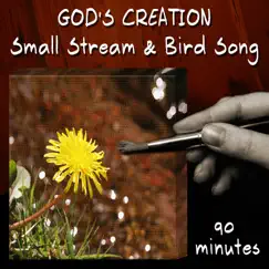 Small Stream & Bird Song (90 Minutes) by God's Creation album reviews, ratings, credits