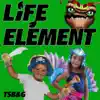 Life Element - Single album lyrics, reviews, download