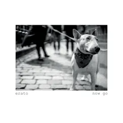 Now Go - Single by Erato album reviews, ratings, credits