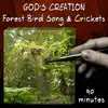 Forest Bird Song & Crickets (90 Minutes) album lyrics, reviews, download