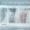 A Celtic Christmas (feat. Tony Hinnigin, Mike Taylor & Tony Maloney) album lyrics, reviews, download