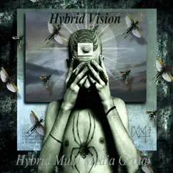 Hybrid Vision - Single by DatBoiWoodie & Don T album reviews, ratings, credits