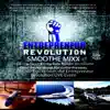 The Entrepreneur Revolution album lyrics, reviews, download