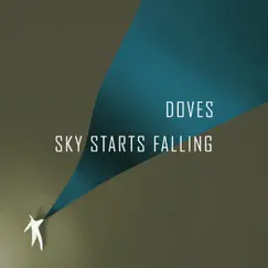 Sky Starts Falling Song Lyrics
