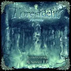 Ruminate - EP by Yudhisthira album reviews, ratings, credits