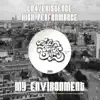 My Environment - Single album lyrics, reviews, download