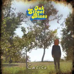 Calico - EP by Oak Street Blues album reviews, ratings, credits