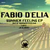 Summer Feeling - Single album lyrics, reviews, download