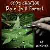 Rain in a Forest (90 Minutes) album lyrics, reviews, download