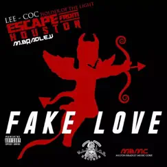 Fake Love (feat. M. Bradley) - Single by Lee-Coc 