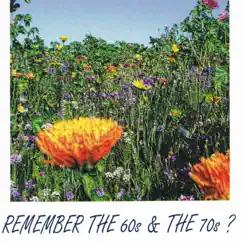 Remember the 60s & the 70s by The Anita Kerr Singers album reviews, ratings, credits
