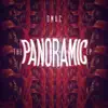 Panoramic (feat. Sage the Gemini & Show Banga) song lyrics