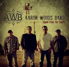 Signal From the South by Aaron Woods Band album reviews, ratings, credits