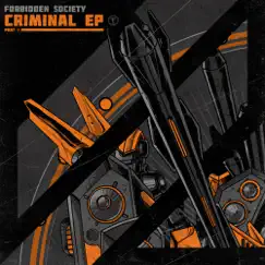 Criminal Song Lyrics