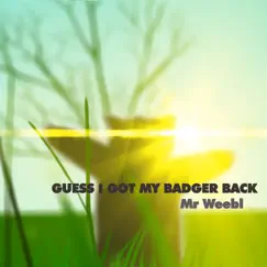 Guess I Got My Badger Back - Single by Mr Weebl album reviews, ratings, credits