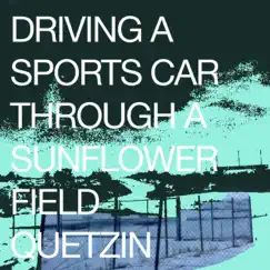 Driving a Sports Car Through a Sunflower Field by Quetzin album reviews, ratings, credits