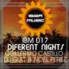Ibiza Music 017: Different Nights - Single album lyrics, reviews, download