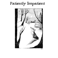 Patiently Impatient by Circle of Hope Audio Art album reviews, ratings, credits