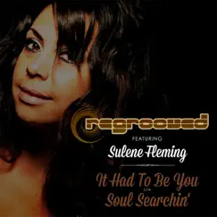 Soul Searchin' (feat. Sulene Fleming) Song Lyrics