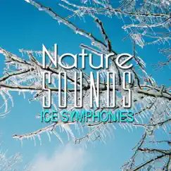 Nature Sounds: Ice Symphonies by Chacra Music album reviews, ratings, credits