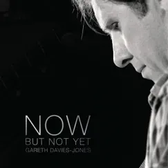 Now But Not Yet by Gareth Davies-Jones album reviews, ratings, credits