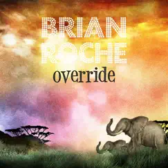 Override - Single by Brian Roche album reviews, ratings, credits