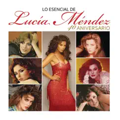 Rueda el Amor Song Lyrics