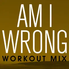 Am I Wrong (Pump It Extended Remix) Song Lyrics
