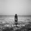 Hush Now album lyrics, reviews, download