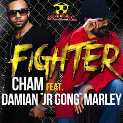 Fighter (feat. Damian 