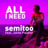 All I Need (feat. Jules Palmer) - Single album lyrics, reviews, download