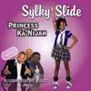 Sylky Slide (feat. Sam Sylk, K 2 the D, Big Mucci) - Single album lyrics, reviews, download