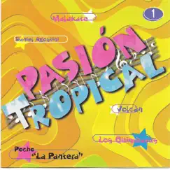 Cumbia Argentina - Pasión Tropical Vol 1 by Various Artists album reviews, ratings, credits