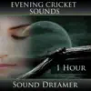 Evening Cricket Sounds - 1 Hour album lyrics, reviews, download