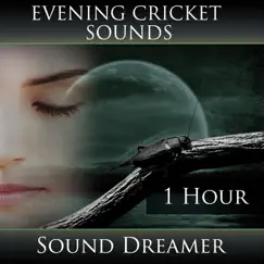 Evening Cricket Sounds - 1 Hour by Sound Dreamer album reviews, ratings, credits